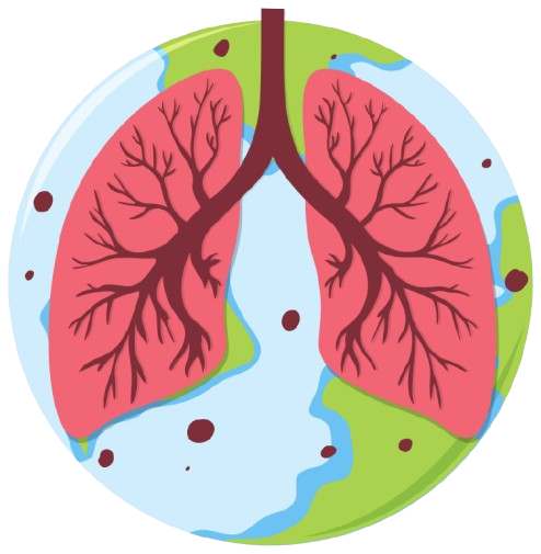 lungs